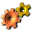 Focus on Mechanisms