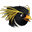 Na Fali