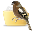 ZettingSoft