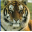 BT_Preview version 0.0.1i