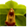 basICColor display 4.1.28
