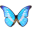 Stone Video Converter