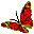 IAP