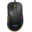 RAVEN-V