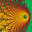 Aros Magic Viewer