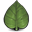 Andor Tools v5.74