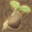 Grow the Seed Demo