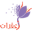 Saffron Repair