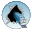 Email Extractor Express