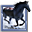 Adobe Premiere Pro 1.5 Tryout