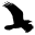 Raven Pro 1.4