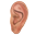 Auriculo 3D versión 3.0.9