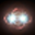 oZone3D Fur Rendering Benchmark v1.0.0