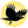 A Quiver of Crows