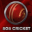 Cricket 2013 version 2013