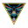 Nicolai Levashov Seance 1.3