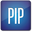 PIPESIM Python Toolkit 2022.2