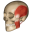 Anomalous Medical version 4.1.0.6054