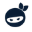 Ninja Browser