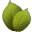 Family Tree Maker 2010