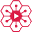 VideoSeeder Pro v3.5 [ ViP Licensed ]