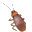 Cockroach Simulator