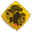 AURION Legacy of The Kori-Odan version 1.0