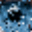 OneSoftPerDay 025.013010134