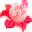 LNMail