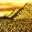 Tuts Treasure 5 v.18.231007