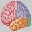 MsSOFT