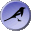 Magpie Pro