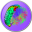 BrainSuite version 15c
