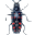 Modulus Bug Tracker 2.0.0.8