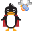 Cool Server 5.10.6