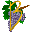 Bacchantis