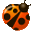 QVD Client 3.5.0-27493
