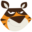 tigerVPN