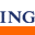 ING Business Plan