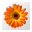 Artweaver Plus 1.0