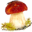 Grzybiarz 1.0