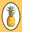 Aloha Solitaire Free Trial