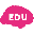 BrainVoyagerEDU