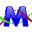 MEGA6 .05