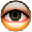 AbelCam