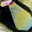 WinMIgob version 1.0.7