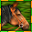 Gallop for Gold 5 v.18.180608