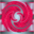 Nexus 2.2.0.0