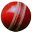 EA SPORTS(TM) Cricket 08