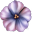 A Little Lily Princess version 0.9
